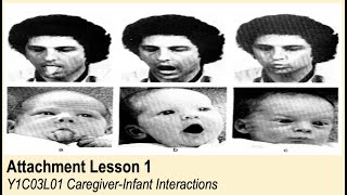 ALevel Psychology AQA Attachment  CaregiverInfant Interactions [upl. by Ludewig]