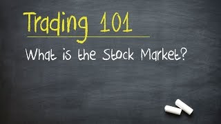 Trading 101 What is the Stock Market [upl. by Notak750]