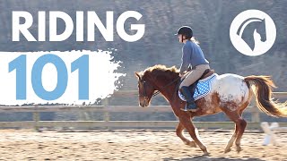 HOW TO RIDE A HORSE EASY BEGINNERS GUIDE [upl. by Dorcea]