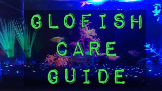 My GloFish Aquarium  Glofish Care Guide [upl. by Adhamh]