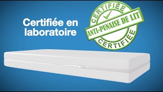 Housse anti punaise de lit Mattress Safe  Pourquoi c’est la meilleure [upl. by Sirmons]