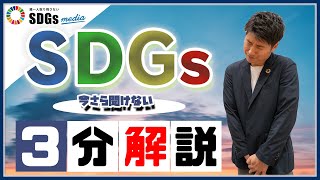 ビジネスパーソンがいまさら聞けない「SDGs」とは？3分解説 [upl. by Tsuda]