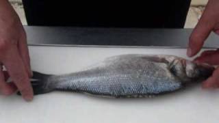 Passionate About Fish  How to Fillet and Clean Sea Bass and Bream [upl. by Adigirb]