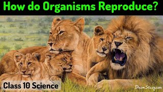 How do Organism Reproduce  CBSE Class 10 X Science Biology  Toppr Study [upl. by Anirat645]