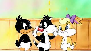 los pequeños looney tunes 36 [upl. by Niroht]