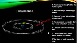 Luminescence [upl. by Nerw]