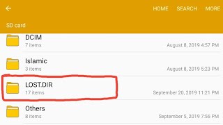 How to LOSTDIR file recover [upl. by Davena]