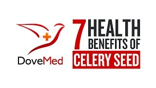 7 Health Benefits Of Celery Seeds [upl. by Ailegna]