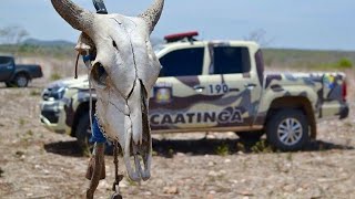 CAATINGA  CIOPAC PMSE [upl. by Riabuz]