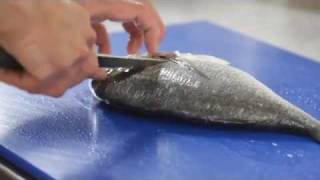 How To Fillet Bream [upl. by Inotna357]