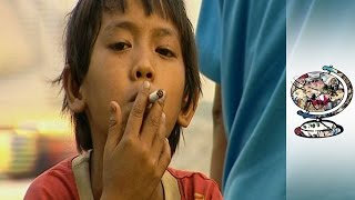 The Tobacco Industry is Burning a Hole in Indonesias Population [upl. by Atinoj]