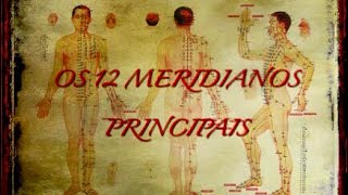 OS 12 MERIDIANOS PRINCIPAIS Canais de Energia na Medicina Tradicional Chinesa [upl. by Marge]