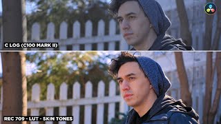 How to Color Grade Canon C LOG Footage Convert to REC 709 in Davinci Resolve 17  LUTS Available [upl. by Aniara317]