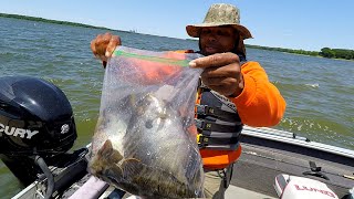 Insane 7 biggest Tournament Winning bluegills [upl. by Shue]