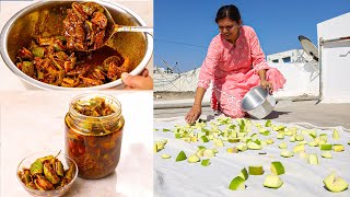 आम का असली अचार कैसे बनाते है  Mango Pickle Recipe  Traditional Aam Ka Achar  Kabitaskitcen [upl. by Ilellan597]