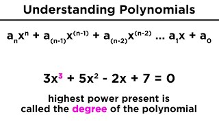 Introduction to Polynomials [upl. by Adnolrehs]