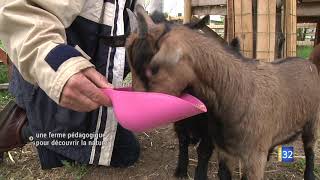 UNE FERME PÉDAGOGIQUE POUR DÉCOUVRIR LA NATURE [upl. by Aicilaana806]