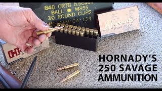 Hornadys New Loading for the 250 Savage Tested in a Vintage Savage Model 99 [upl. by Eintroc]