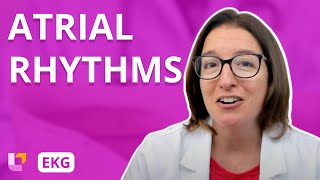 Atrial Rhythms  EKG Interpretation  LevelUpRN [upl. by Josefina990]