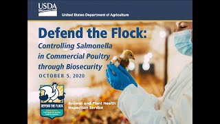 Controlling Salmonella in Commercial Poultry through Biosecurity [upl. by Bratton615]