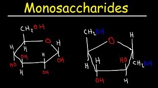 Monosaccharides  Glucose Fructose Galactose amp Ribose  Carbohydrates [upl. by Ahsineb]