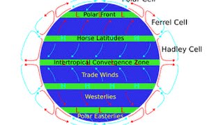 Trade Winds easily explained [upl. by Matthei]