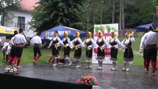 Srpska Narodna Kola Serbian Folk Dance 1 HQ [upl. by Droffats533]