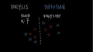 Dialysis Basics [upl. by Gruver]