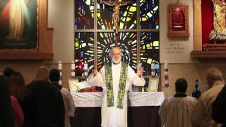 Sacraments 101 Holy Orders what ordination means [upl. by Nnaillek]