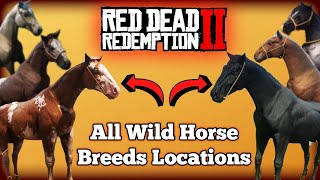 All Wild Horse Breed Locations in Red Dead Redemption 2 [upl. by Gebelein578]