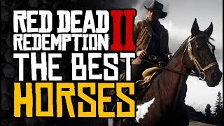 Complete HORSE Guide  The BEST Horses and How To Get Them  Red Dead Redemption 2 [upl. by Akiehsal]