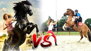 Paardenfilms 🐴🎥 VS De realiteit 😓 [upl. by Roti401]