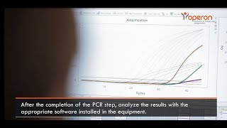 PCR Real Time qPCR procedure — OPERON [upl. by Natek365]