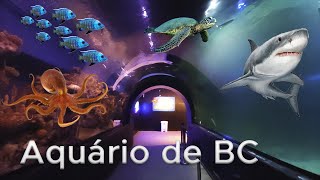 Oceanic Aquarium  Balneário Camboriú SC  4K [upl. by Ahtaga326]