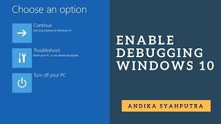 Enable Debugging in Windows 10 [upl. by Gonzales605]