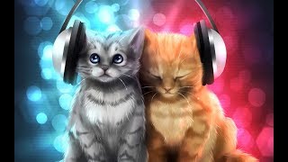 2 песни которые пели котята [upl. by Biel]