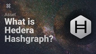 What is Hedera Hashgraph HBAR [upl. by Wendt157]