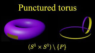 Punctured torus homeomorphism [upl. by Gnourt]