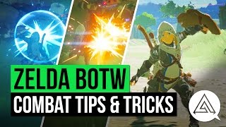 Zelda Breath of the Wild Tips and Tricks [upl. by Aciretehs]