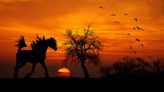 The Relaxing sound of a Horse Walking  clip clop Horses Hooves [upl. by Adrell682]