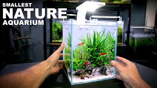 Aquascape Tutorial TINY 26 gal NATURE Aquarium How To Step By Step Nano Tank Guide [upl. by Ahcrop]