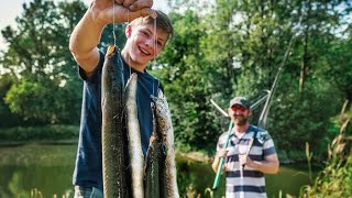 Überraschung im Gartenteich Riesige Aale amp Schleien [upl. by Yrgoerg]