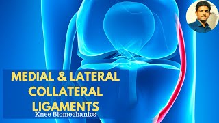 Lateral Collateral Ligament Anatomy Function Injury and Treatment [upl. by Lathrope217]