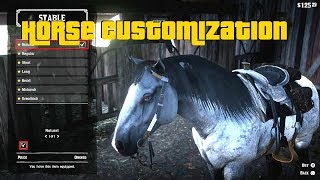 Red Dead Redemtion 2  Horse Customization [upl. by Esenahs]