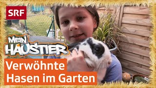 Hase im grossen Stall  Mein Haustier  SRF Kids – Kindervideos [upl. by Nedah]