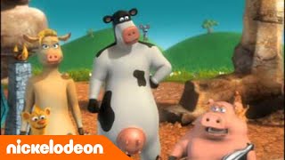 La Ferme en folie  La cérémonie Porc  Nickelodeon France [upl. by Gavini416]