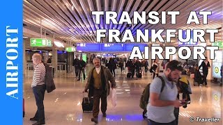 TRANSIT WALK AT FRANKFURT Airport FRA Terminal 1  Connection Flight Transfer Arriving amp Departing [upl. by Codee]