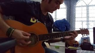 Wolfgang HALIK NI HUDAS  Acoustic guitar cover [upl. by Nilerual]