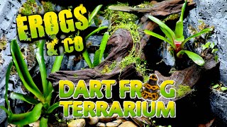 New Vivarium Build For Thumbnail Dart Frogs  Exo Terra Frogs amp Co Dart Frog Terrarium [upl. by Dias937]