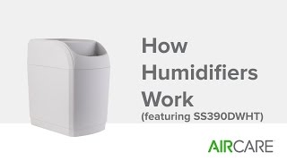 How Humidifiers Work featuring SS390DWHT [upl. by Ilhsa84]